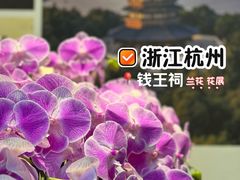 -钱王祠