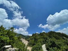 -牛背梁国家森林公园