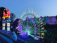 -杭州湾海上花田景区