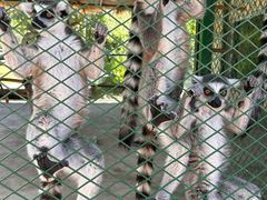 -水上乐园·欢乐世界