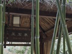 -观唐（国际）度假村温泉