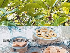 柠檬扎片-兴隆隆苑咖啡庄园