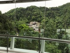 -南山植物园