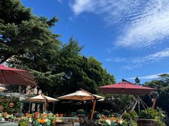 -中山路壹号传奇club·啤酒花园餐厅