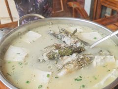 野生鲫鱼豆腐汤-鱼乐岛餐厅·户外花园主题餐厅