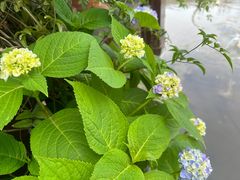 -YUNHE秐合· 雅致浙宴(西溪店)