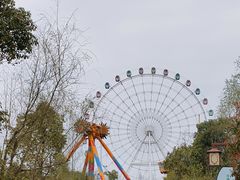 -洋湖国家湿地公园