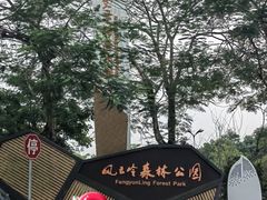 -风云岭森林公园