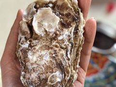 -蚝堡·生蚝海鲜烧烤物种起源•海肠捞饭(刘公岛店)