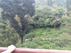 景点-桃花涧