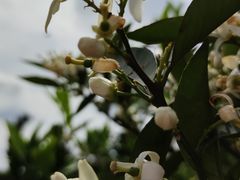 -舒家湾天主教堂