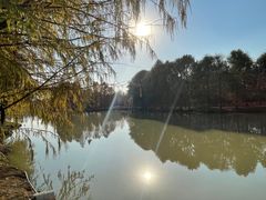 -上海海湾国家森林公园