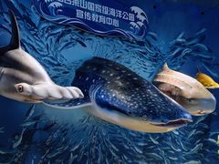 -烟台海昌鲸鲨海洋公园