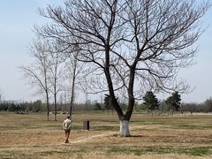 -汉长安城未央宫国家考古遗址公园