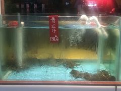 -皮记海鲜1995(寮步店)