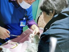 -北京观赏动物医院·24小时大型综合·猫专科·异宠专科