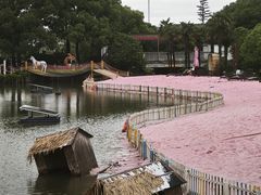 -苏州太湖西山岛开心农场