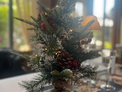 -一棵树·意大利西餐厅One Tree(新城店)