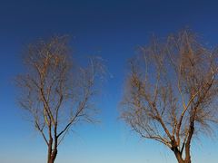 -汉长安城未央宫国家考古遗址公园