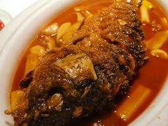 -阿五黄河大鲤鱼(英协路店)