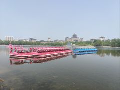 -莲花池公园