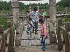 -溱湖国家湿地公园