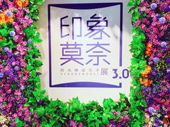 -印象莫奈时光映迹艺术展