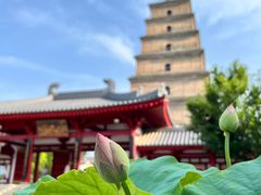 -大慈恩寺(大雁塔)