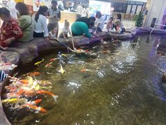 -鸿通城购物中心