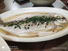 -椿不老