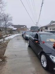 -蚂蚁婚车