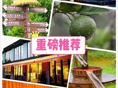 -前小桔亲子创意农场·草莓采摘·露营烧烤
