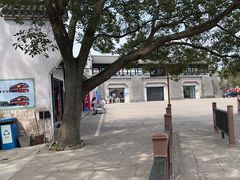 -桃花岛风景旅游区