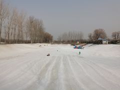 -1982农场