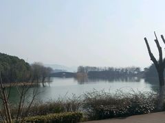 -上海市保健医疗中心(华东疗养院)