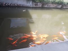 -浙江省博物馆(孤山馆区)