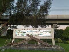 -宝安西湾红树林湿地公园