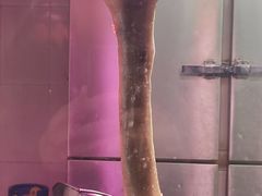 -老明馨潮汕大排档