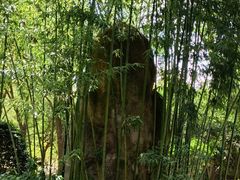 -南汇桃花村