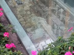 -北京路步行街-千年古道遗址