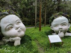 -东平国家森林公园