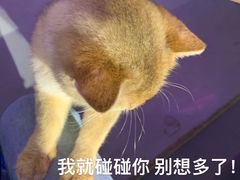 -极木²邸 人与宠物·互动社区