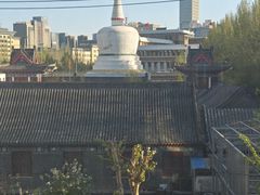 -西塔老太太泥炉烤肉(沈阳店)