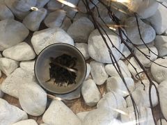 -霸王茶姬(五一路店)