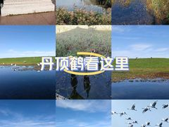 -黑龙江扎龙生态旅游区