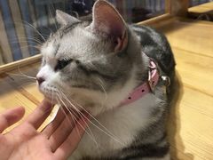 -小时光咖啡馆(开森度假森林店)