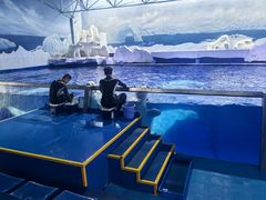 -秦皇岛乐岛海洋王国