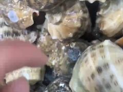 -江合勇丹东兄弟小串海鲜烧烤(总店)