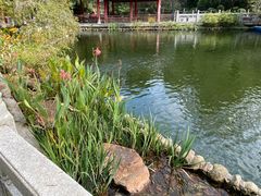 -国恩寺