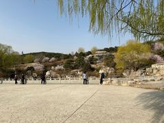 -北京西山国家森林公园